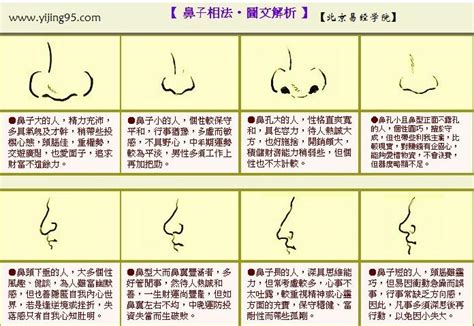 男人鼻子面相|男人面相图解,破解鼻子的秘密